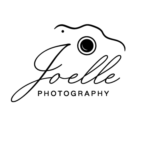 Logo, fotografie, camera