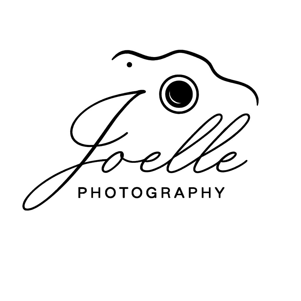 Logo, fotografie, camera